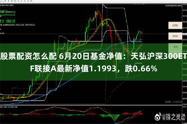 股票配资怎么配 6月20日基金净值：天弘沪深300ETF联接A最新净值1.1993，跌0.66%