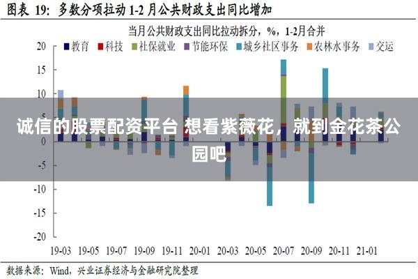 诚信的股票配资平台 想看紫薇花，就到金花茶公园吧