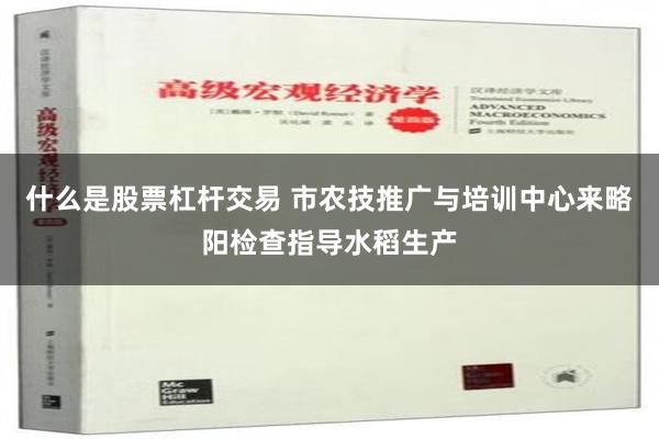 什么是股票杠杆交易 市农技推广与培训中心来略阳检查指导水稻生产