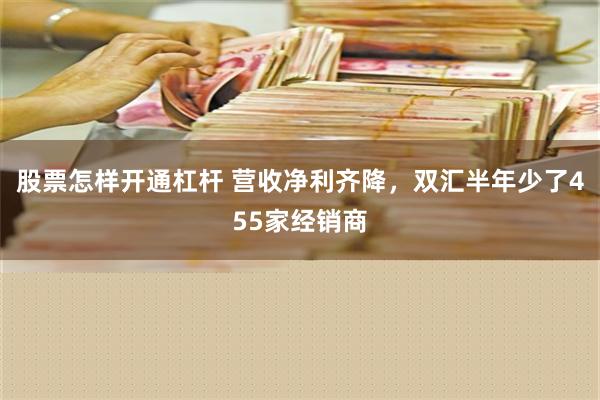 股票怎样开通杠杆 营收净利齐降，双汇半年少了455家经销商