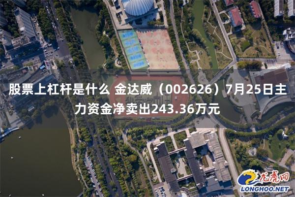 股票上杠杆是什么 金达威（002626）7月25日主力资金净卖出243.36万元