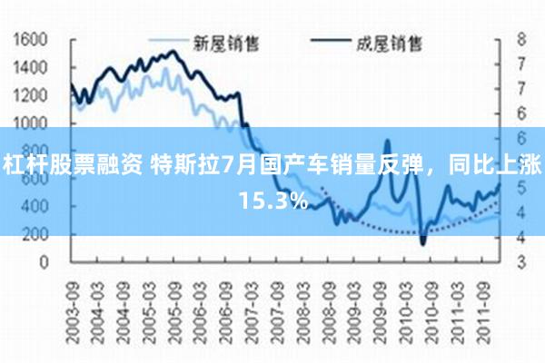 杠杆股票融资 特斯拉7月国产车销量反弹，同比上涨15.3%