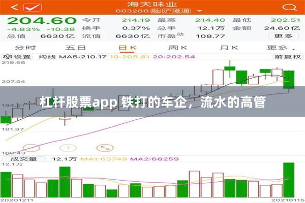 杠杆股票app 铁打的车企，流水的高管