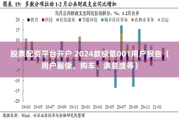 股票配资平台开户 2024款极氪001用户报告（用户画像、购车、满意度等）