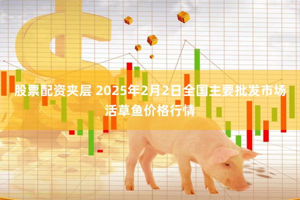 股票配资夹层 2025年2月2日全国主要批发市场活草鱼价格行情