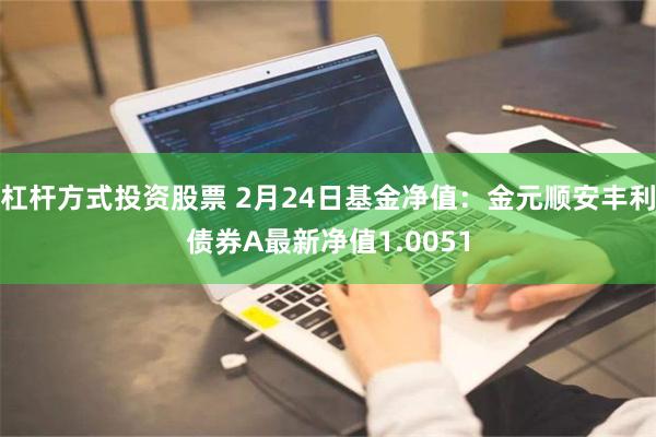 杠杆方式投资股票 2月24日基金净值：金元顺安丰利债券A最新净值1.0051